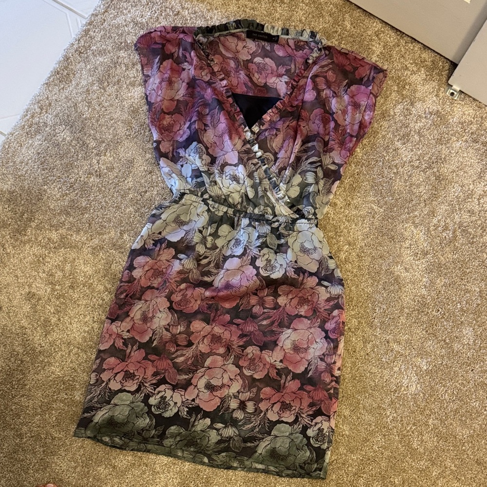 The Limited Multicolor Floral Mini Dress